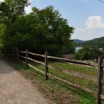 Greene River Trail near Rices Landing